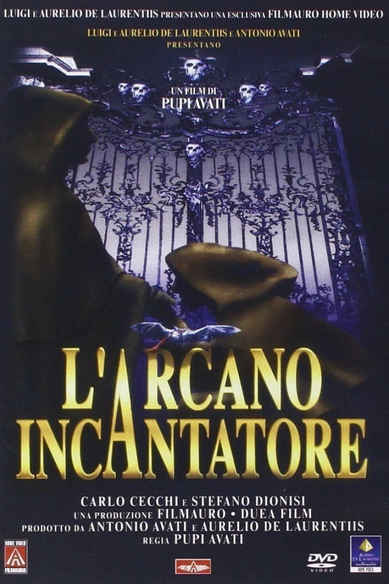 Arcane Sorcerer Poster
