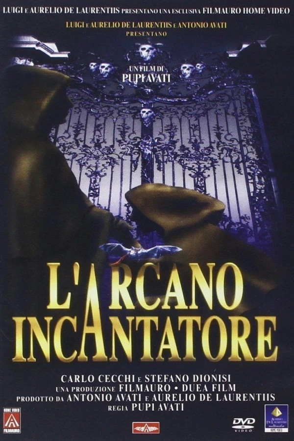 Arcane Sorcerer Poster