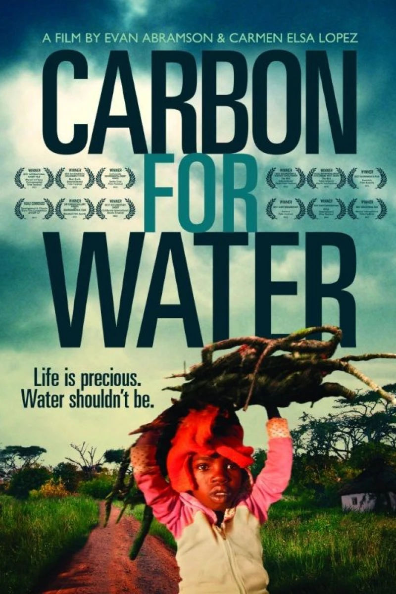 Carbon for Water Poster