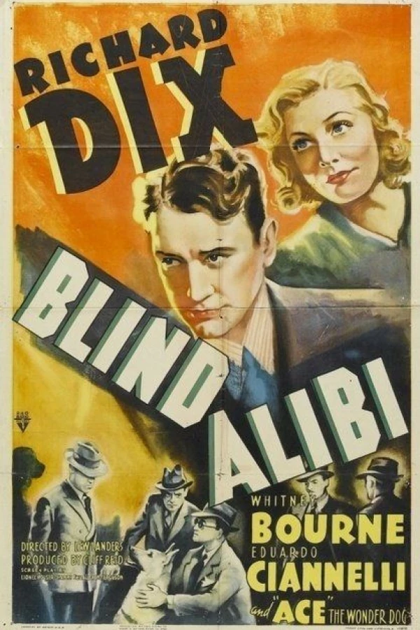 Blind Alibi Poster
