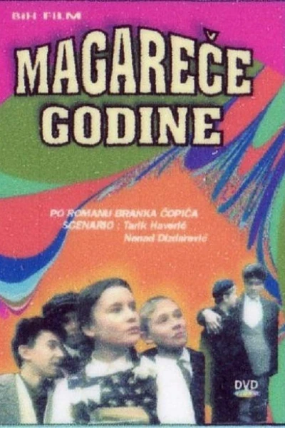 Magarece godine