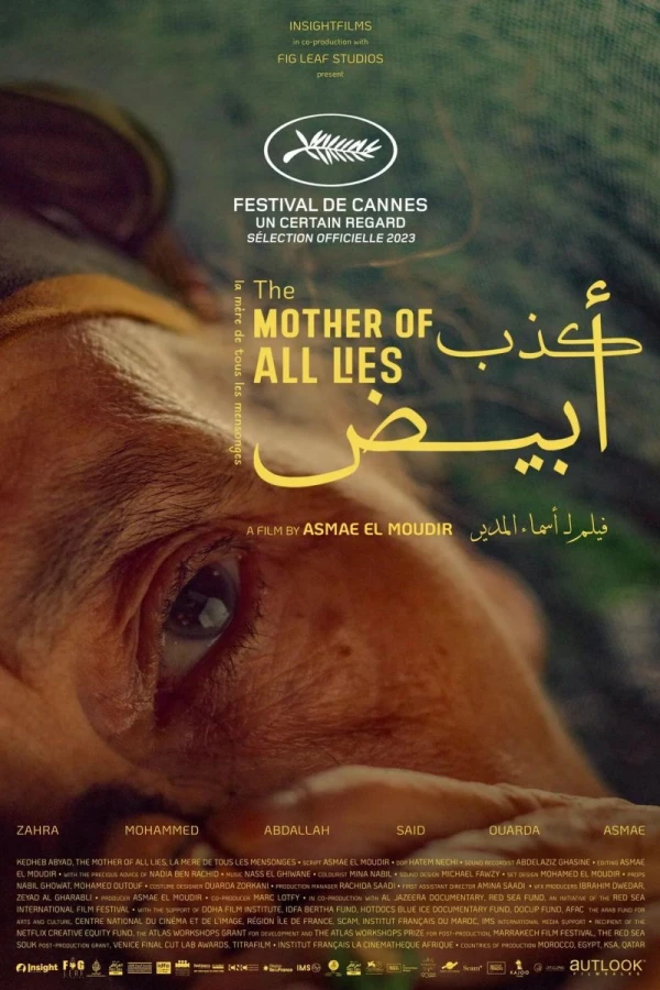 The Mother of All Lies Poster