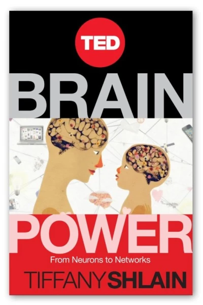 Brain Power: From Neurons to Networks