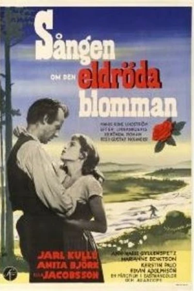 Sången om den eldröda blomman