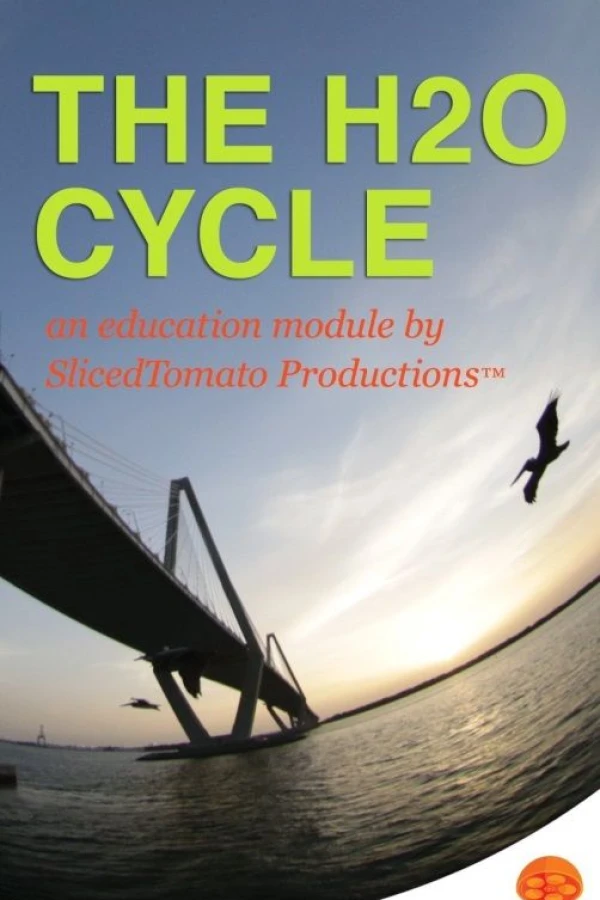 The H2O Cycle Poster