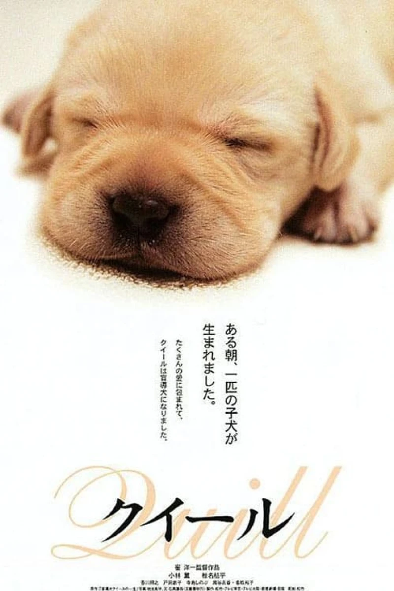 Quill: The Life of a Guide Dog Poster