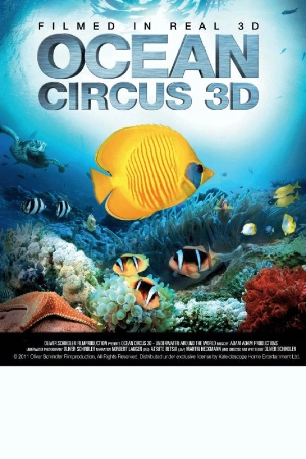 Ocean Circus 3D: Underwater Around the World Poster
