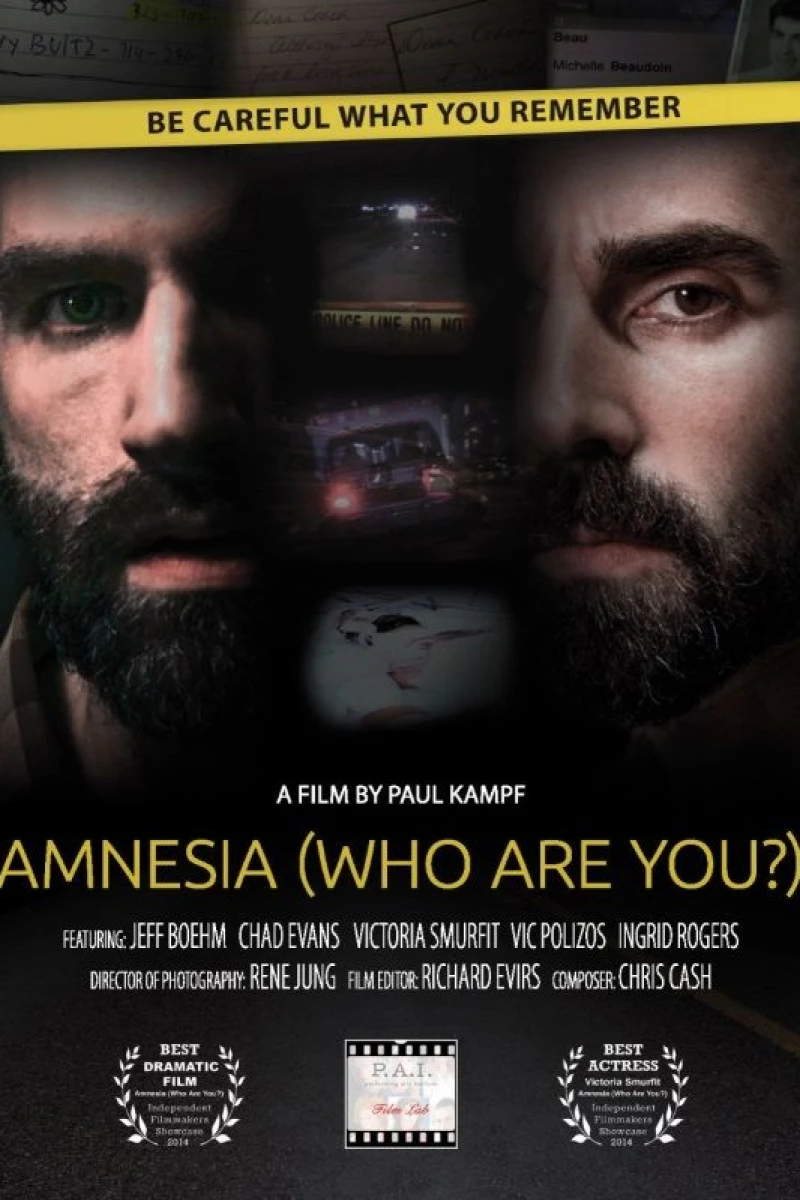 Amnesia: Who Are You? Poster