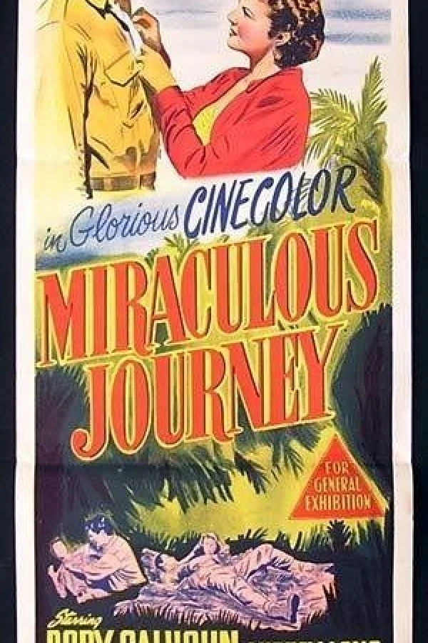 Miraculous Journey Poster