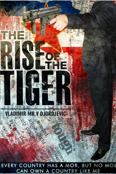 The Rise of the Tiger