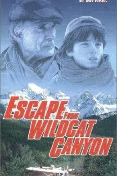 Escape from Wildcat Canyon