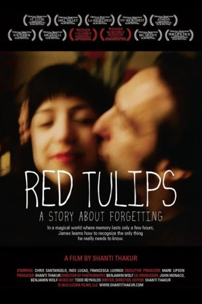 Red Tulips: A Story About Forgetting
