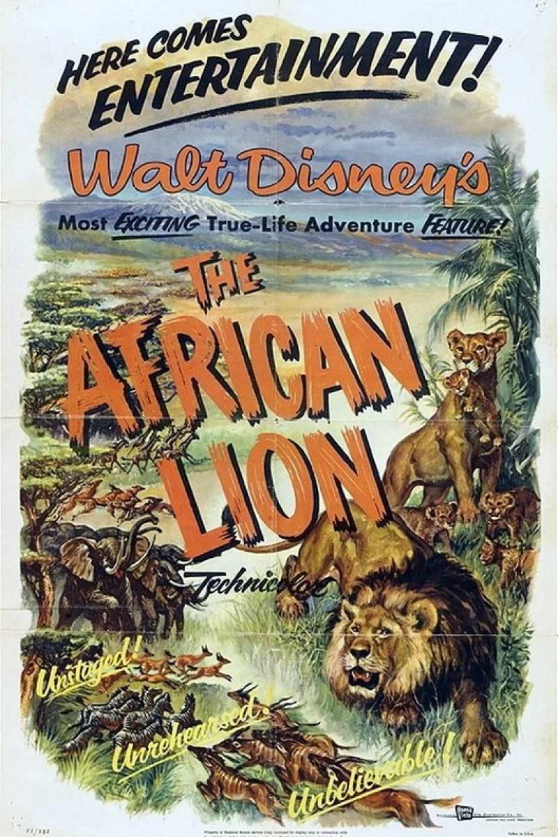 Afrikas lejon Poster