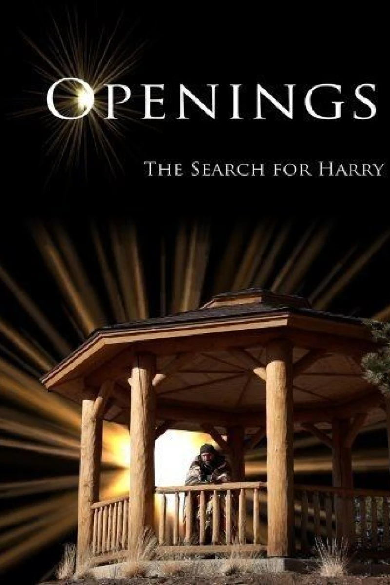 Openings: The Search for Harry Poster