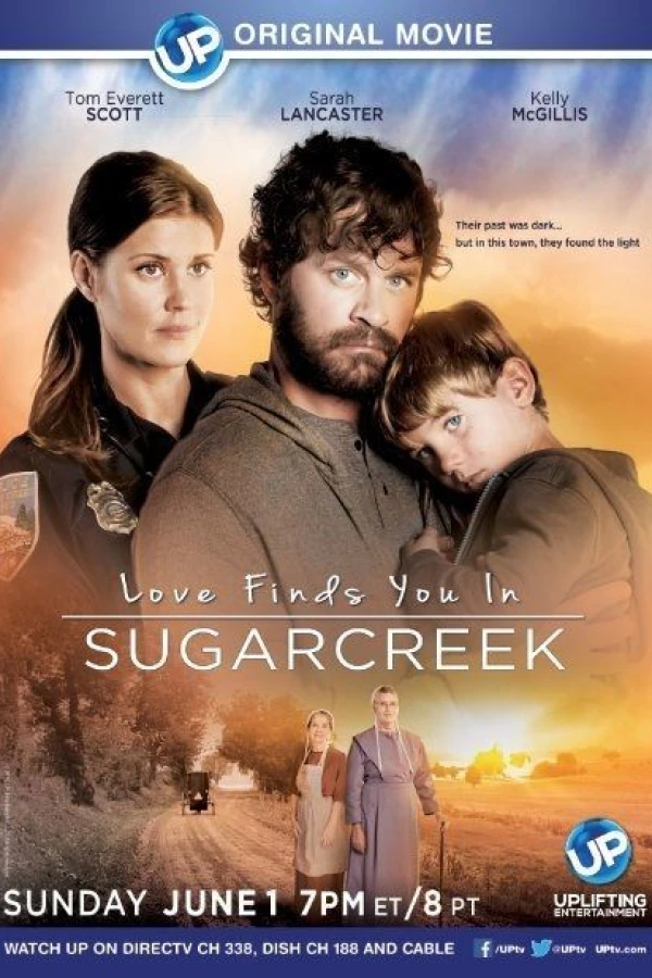 Love Finds You in Sugarcreek Poster