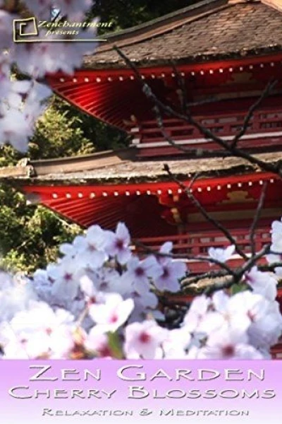 Zen Garden: Cherry Blossoms Relaxation
