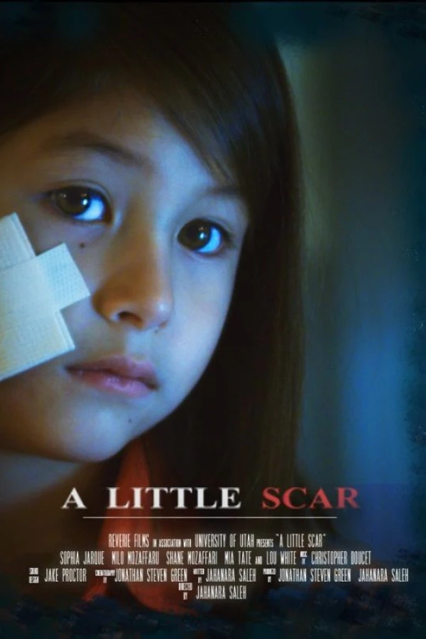 A Little Scar Poster
