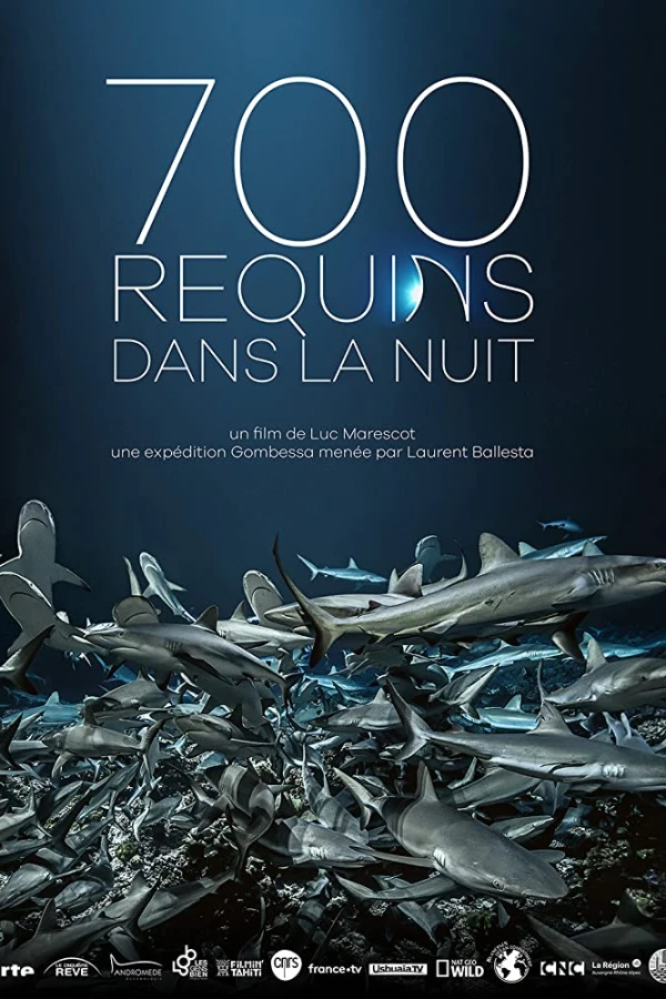 700 Sharks Poster