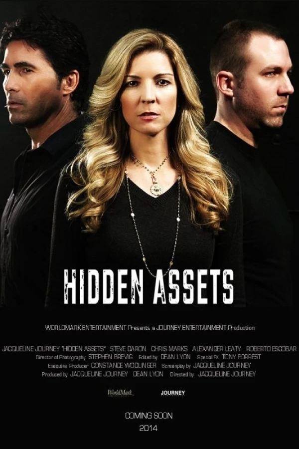 Hidden Assets Poster