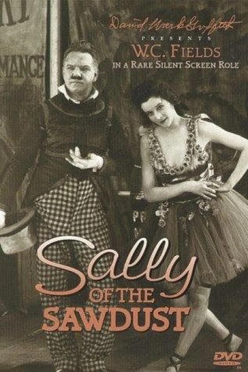 Sally of the Sawdust Poster