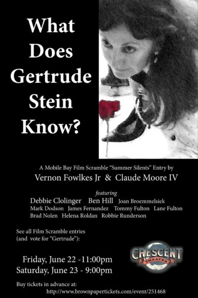 What Does Gertrude Stein Know?
