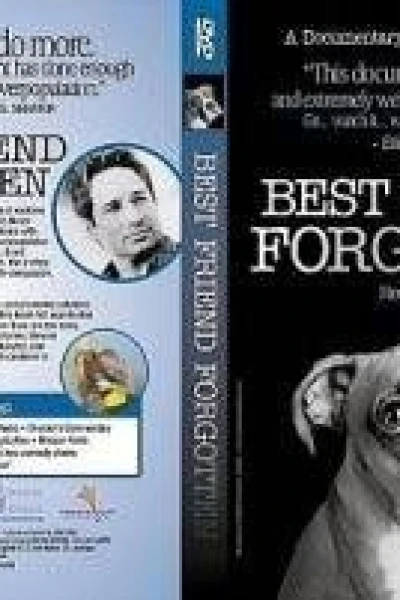 Best Friend Forgotten