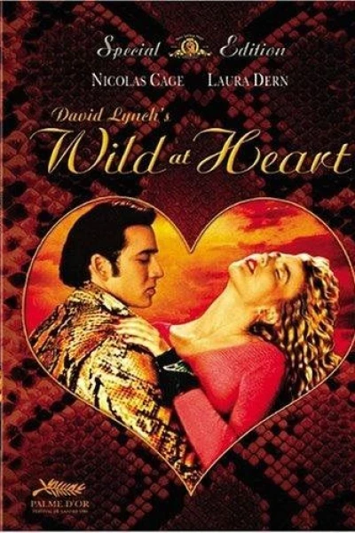 Wild at Heart