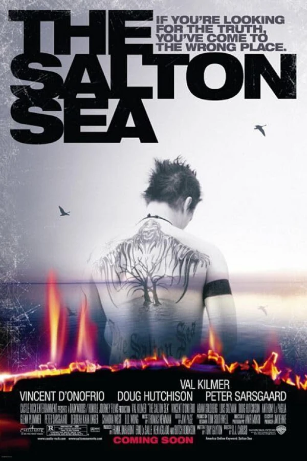 Salton Sea Poster