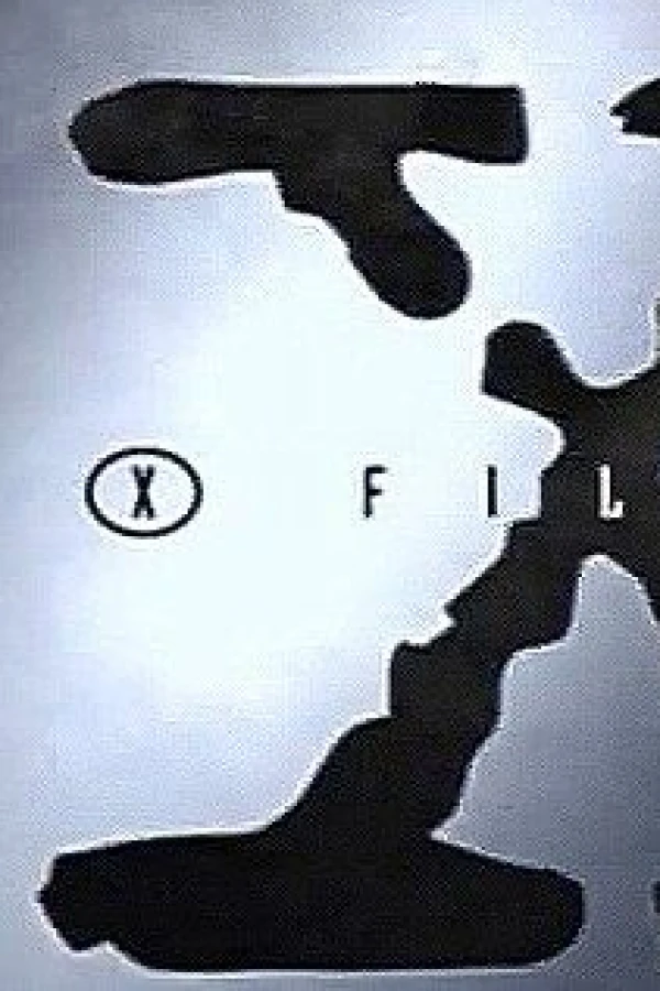 Inside the X Files Poster