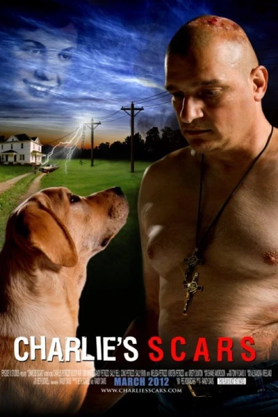 Charlie's Scars