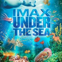 Under the Sea 3D