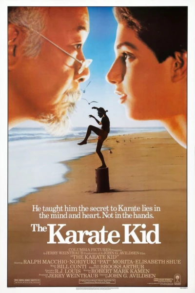 Karate Kid - Sanningens ögonblick