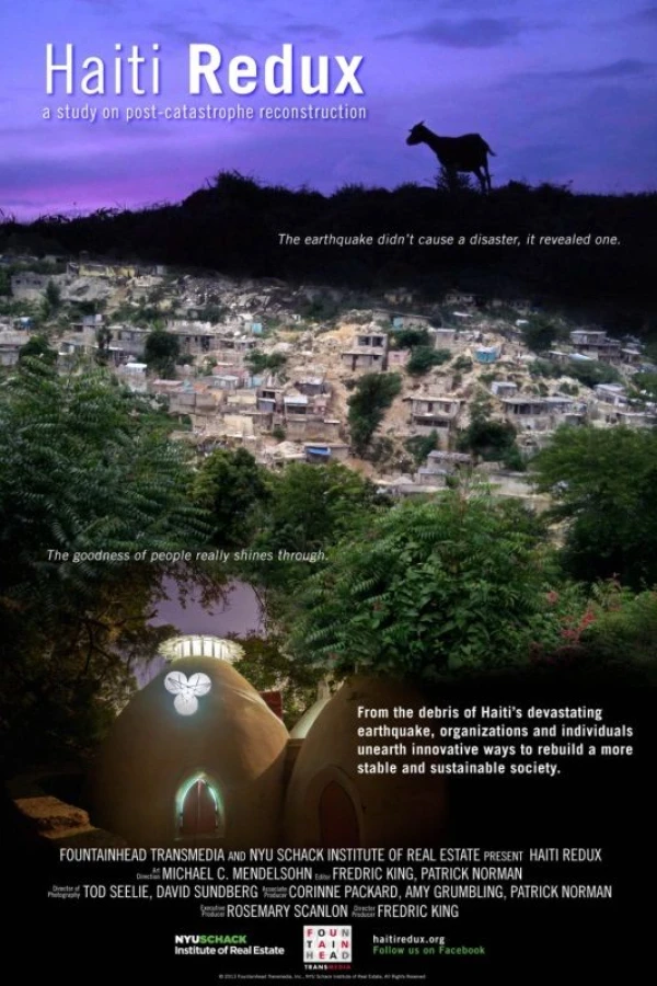 Haiti Redux Poster