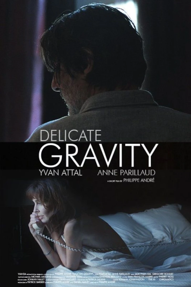 Delicate Gravity Poster