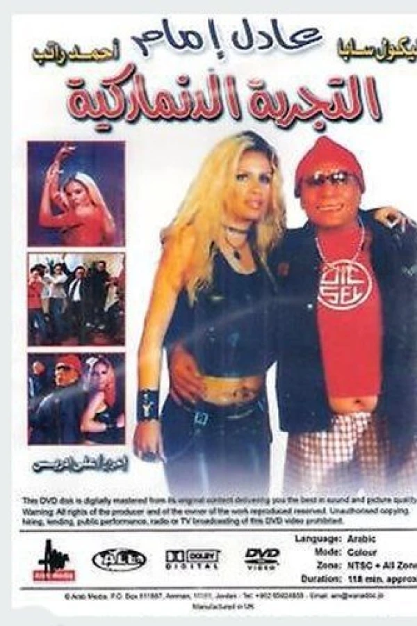 The Danish Experience Poster