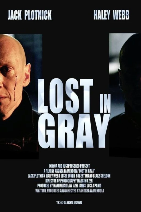 Lost in Gray Poster