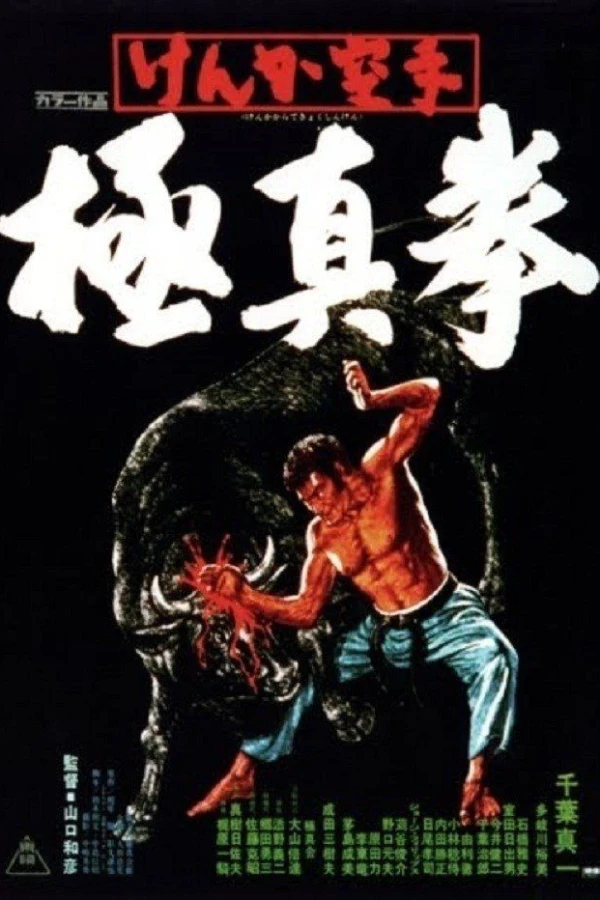 Karate Bullfighter Poster