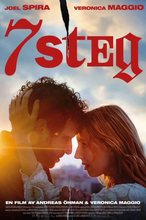 7 steg Poster