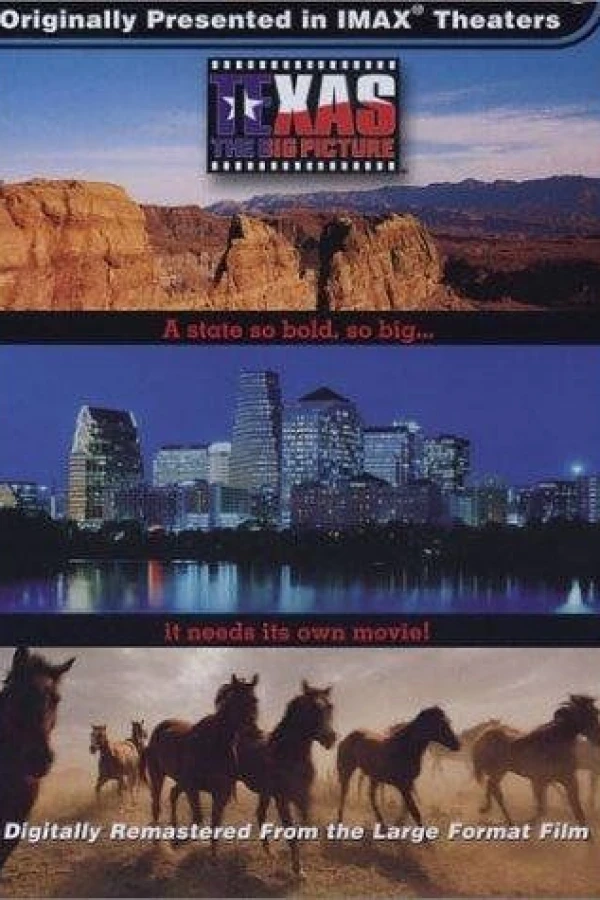 Texas: The Big Picture Poster