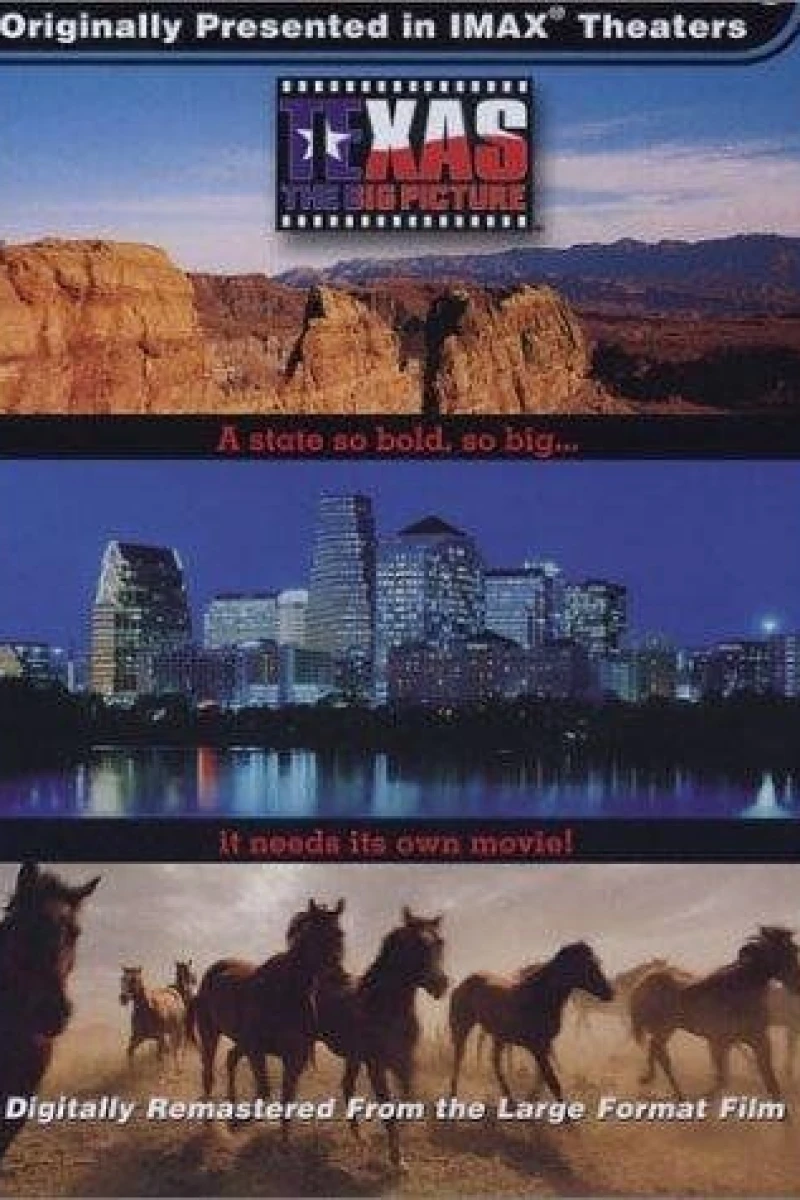 Texas: The Big Picture Poster