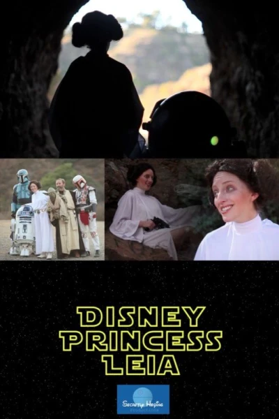 Disney Princess Leia: Part of Han's World