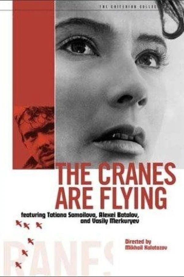 Och tranorna flyga Poster