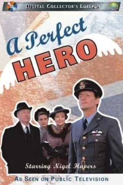 A Perfect Hero