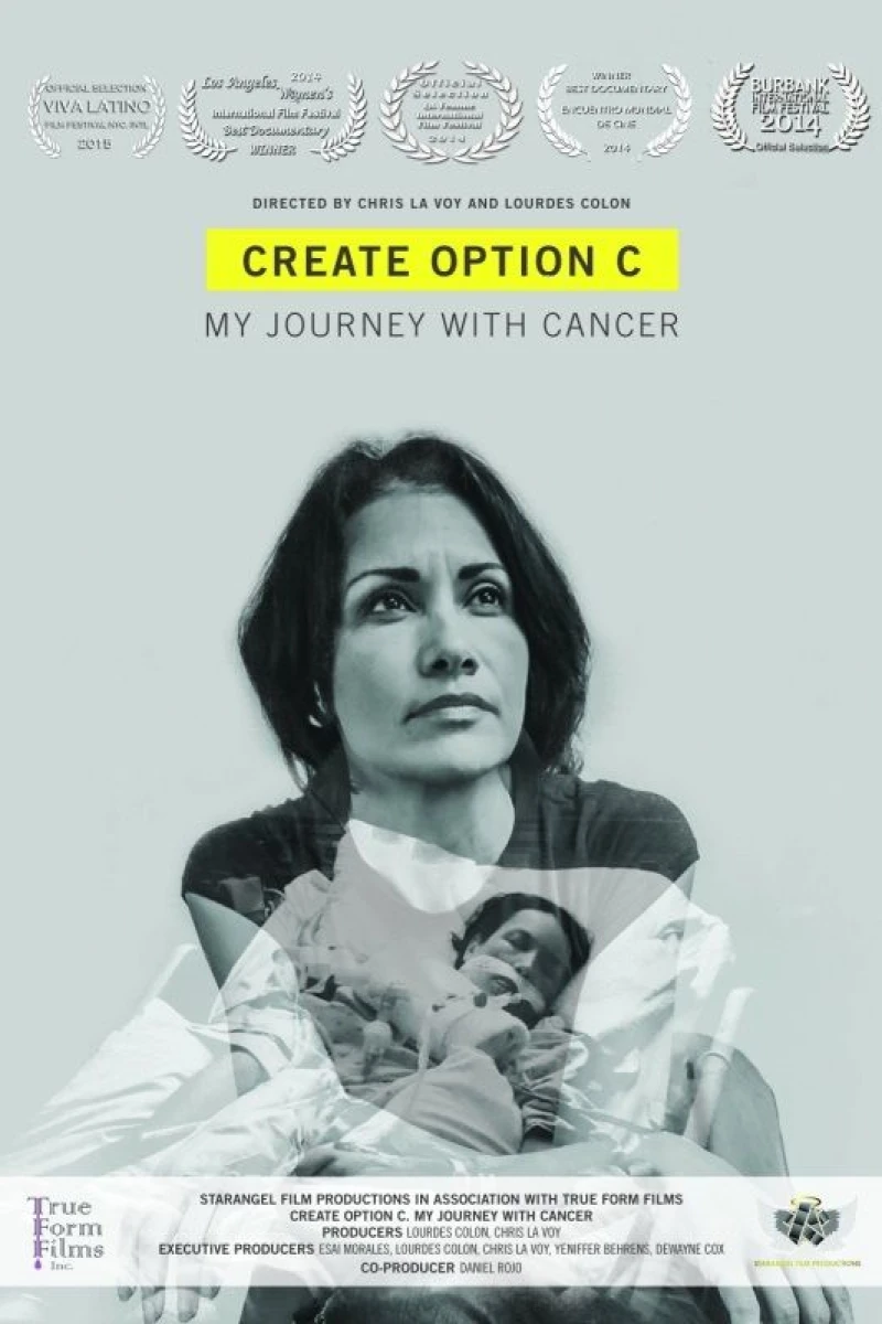 Create Option C: My Journey with Cancer Poster