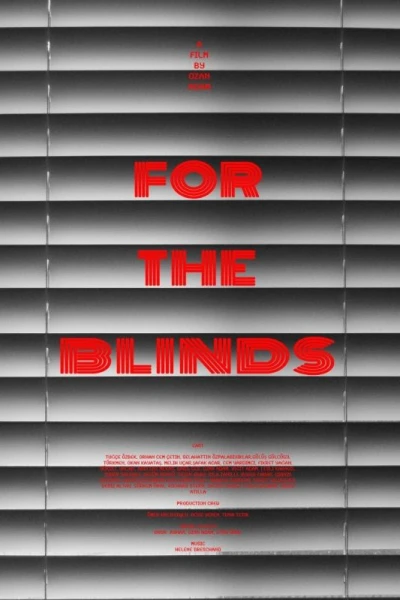 For the Blinds