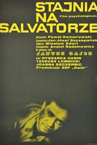 Stajnia na Salvatorze