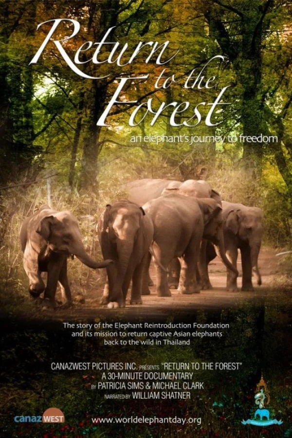 Return to the Forest Poster