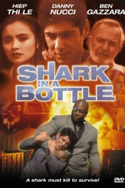 Shark in a Bottle