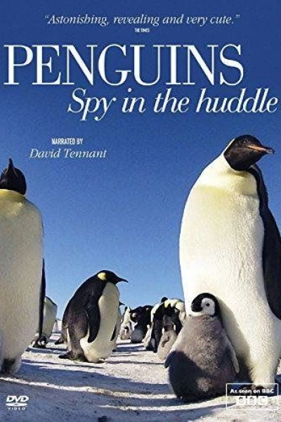 Penguins: Spy in the Huddle