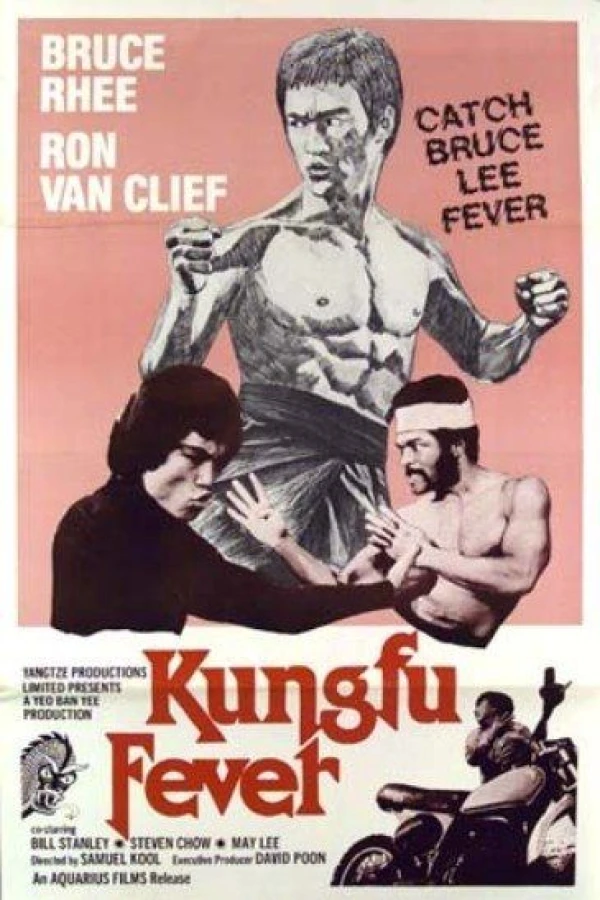 Kung Fu Fever Poster